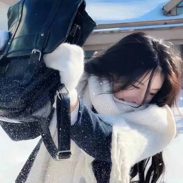 空中的飞鸟